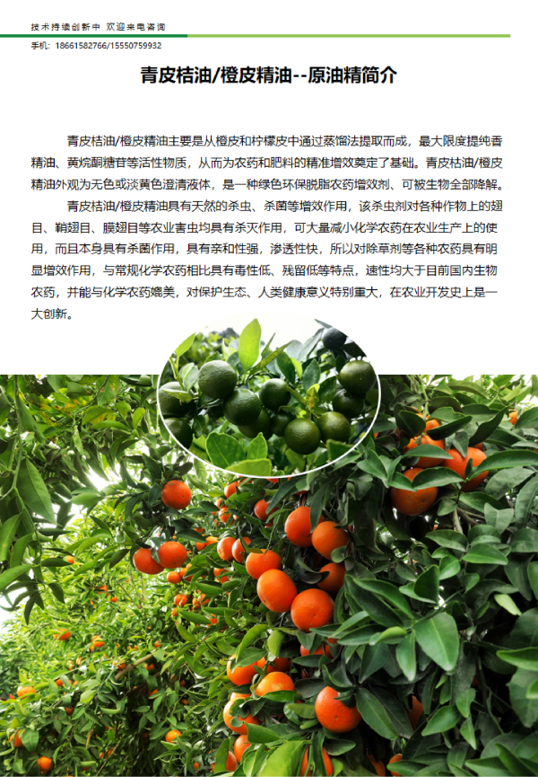 青皮桔油/橙皮精油--原油精简介